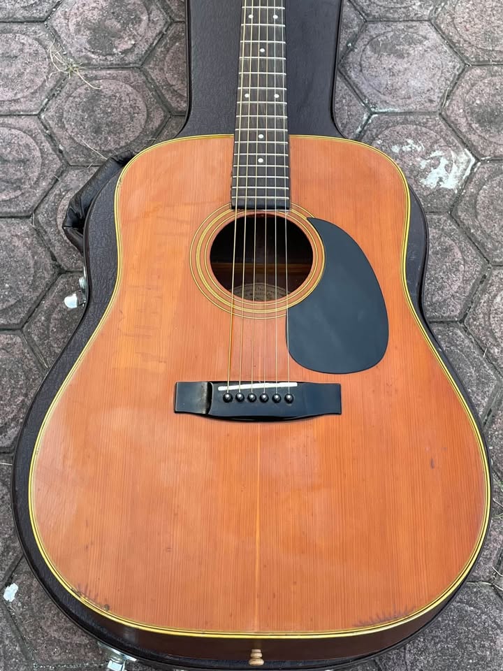 Morris W-18 Gitar Akustik