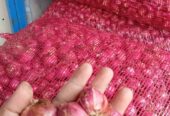 Brambang bawang super fresh