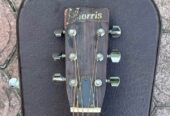 Morris W-18 Gitar Akustik