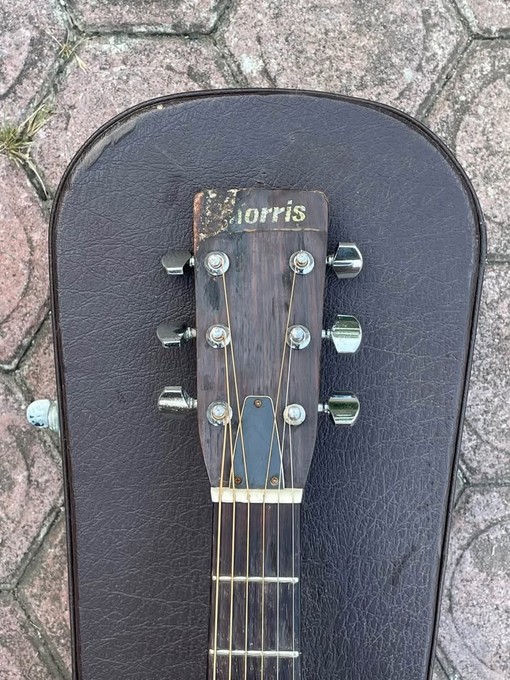 Morris W-18 Gitar Akustik