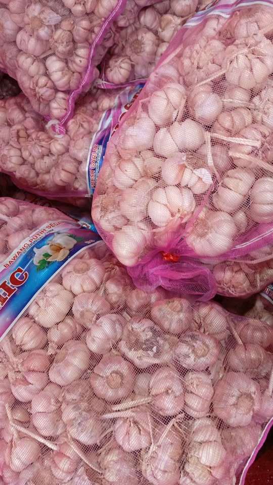 Brambang bawang super fresh