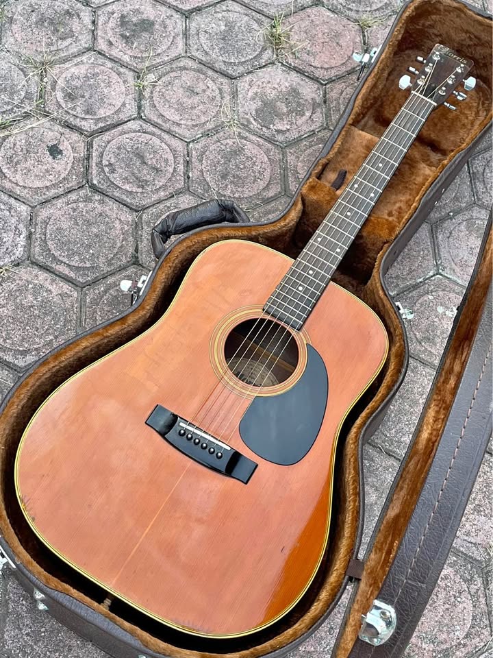 Morris W-18 Gitar Akustik