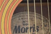 Morris W-18 Gitar Akustik