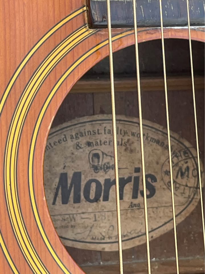 Morris W-18 Gitar Akustik