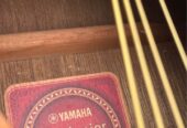 Yamaha FG JR 2 Gitar Akustik 3/4