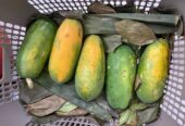 Buah pepaya california daging tebal