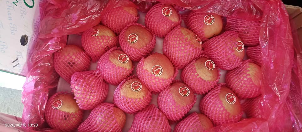 Buah Murah Segar dan Berkualitas