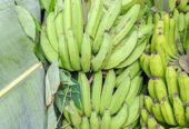Pisang manis fresh baru saja panen