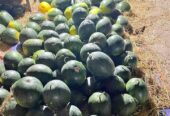 Semangka kuning super fresh