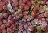 Buah Murah Segar dan Berkualitas