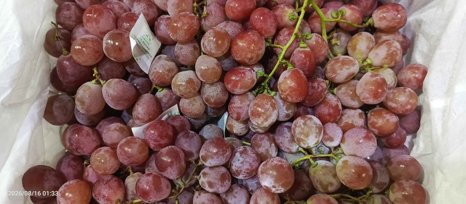 Buah Murah Segar dan Berkualitas