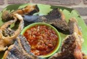 Makanan Free Ongkir Sekitar Kabanjahe
