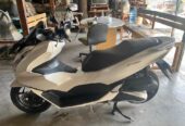 Honda pcx thn 2022 pajak hidup