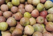Leci super besar promo mari order stock terbatas