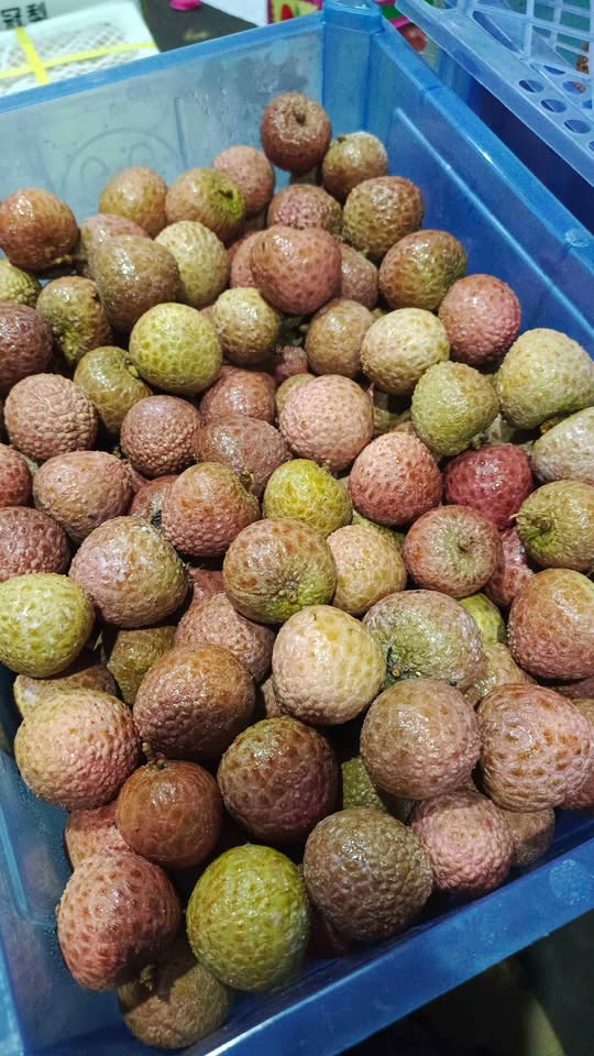 Leci super besar promo mari order stock terbatas