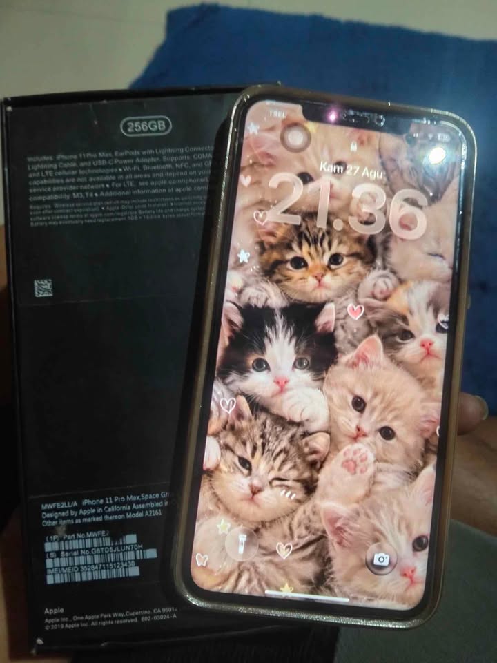 Ip 11 Pro max 256 all operator anti blokir pemakaian sudah sangat lama ios terbaru Minus sesuai foto