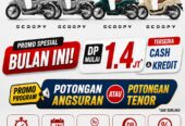 HONDA SCOOPY STYLISH/PRESTIGE
