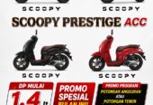 HONDA SCOOPY STYLISH/PRESTIGE
