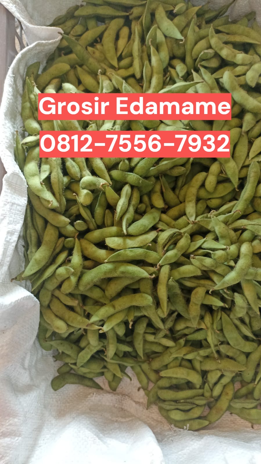 Lezat Mekarsari, Jual Edamame Karanganyar