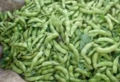 Lezat Mekarsari, Jual Edamame Karanganyar