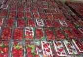 Buah strawberry besar dan fresh