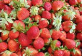 Buah strawberry besar dan fresh