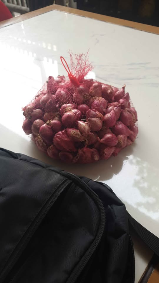 Bawang Merah (50 kg) fresh kering