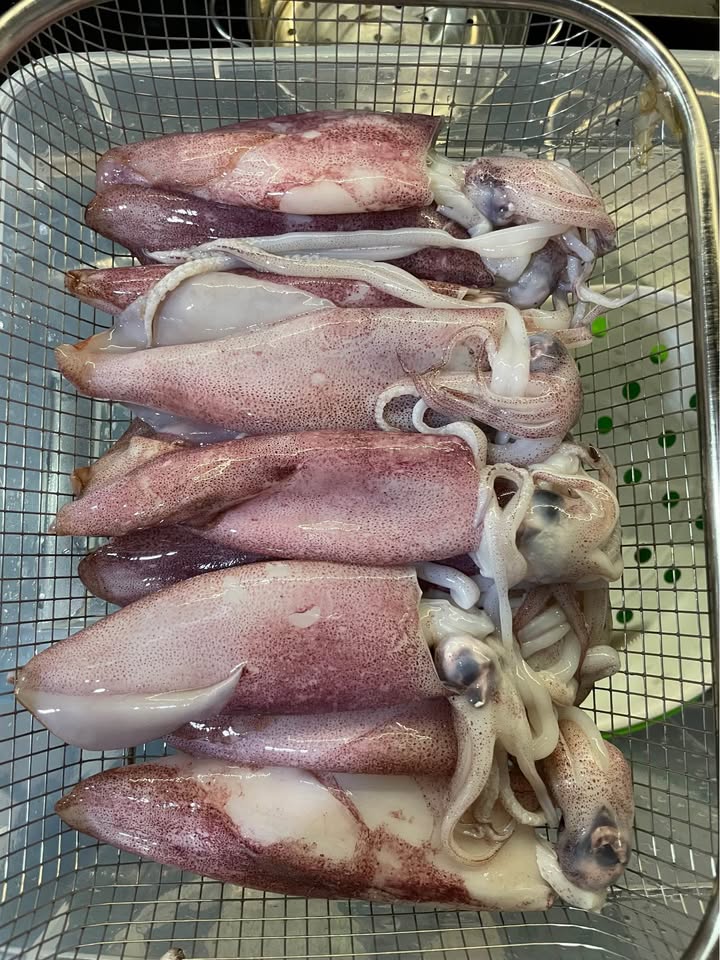 Udang Kupas Utuh Cumi Ikan Baronang
