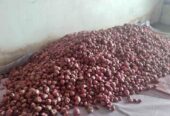 Bawang merah kering fresh