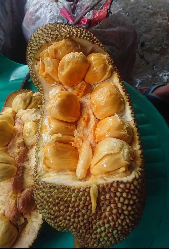 Cempedak lokal legit dan manis