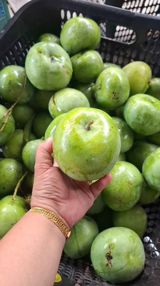 Mangga apel tuha kriuk mentah asinan rujak