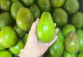 Buah buahan segar super fresh