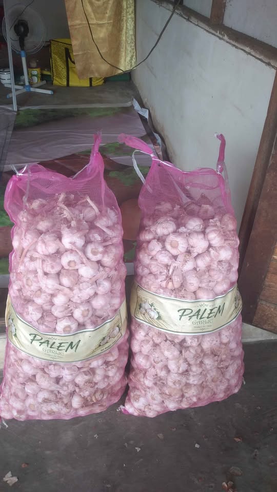 Bawang merah kering fresh