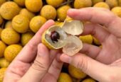 Buah buahan segar super fresh
