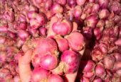 Bawang merah kering fresh