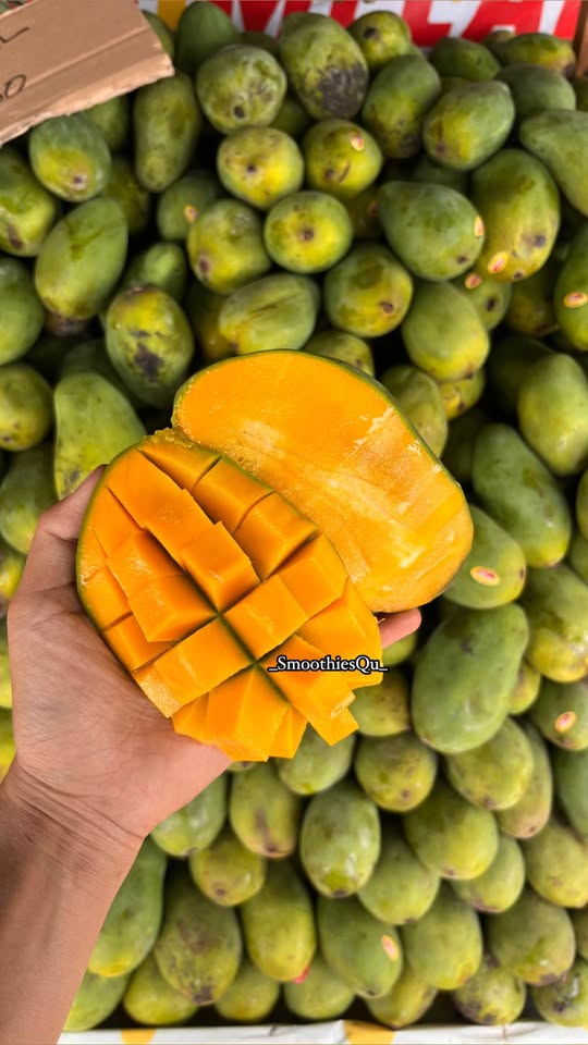 OBRAL Hari ini mangga harum manis