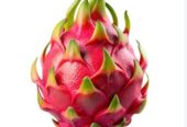 Ready Buah Naga palangka super