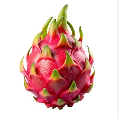 Ready Buah Naga palangka super