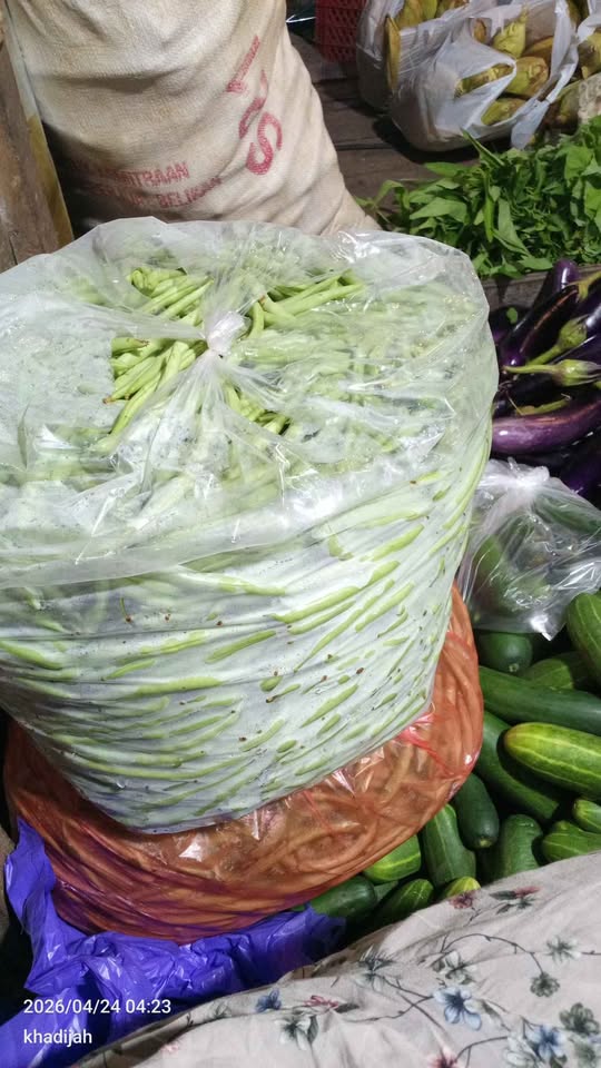 Sayuran fresh berbagai macam