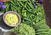 Sayuran fresh berbagai macam