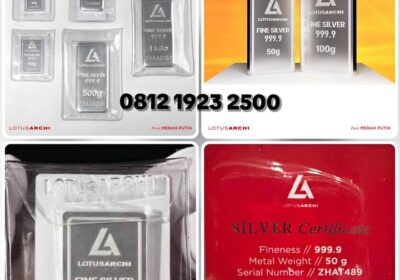 725743111-1015610714764144-602814382690971171-n-1
