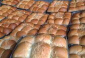 Roti Punjungan Murah Mustafa bakery (Bisa COD Gratis Ongkir)
