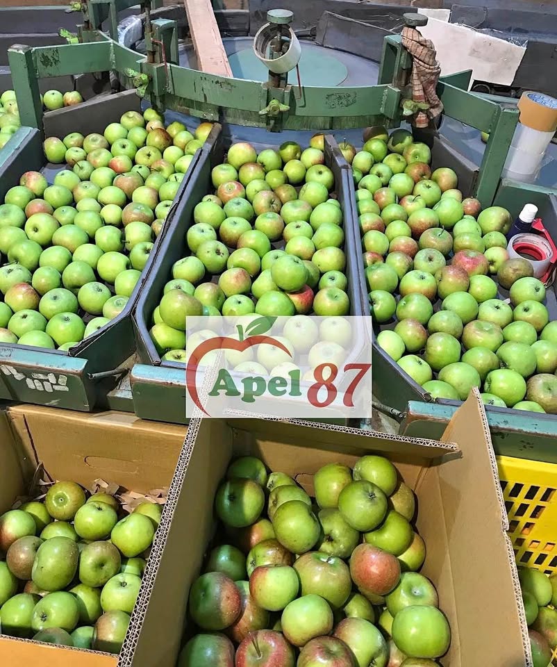 Grosir Buah Jeruk & Apel fresh