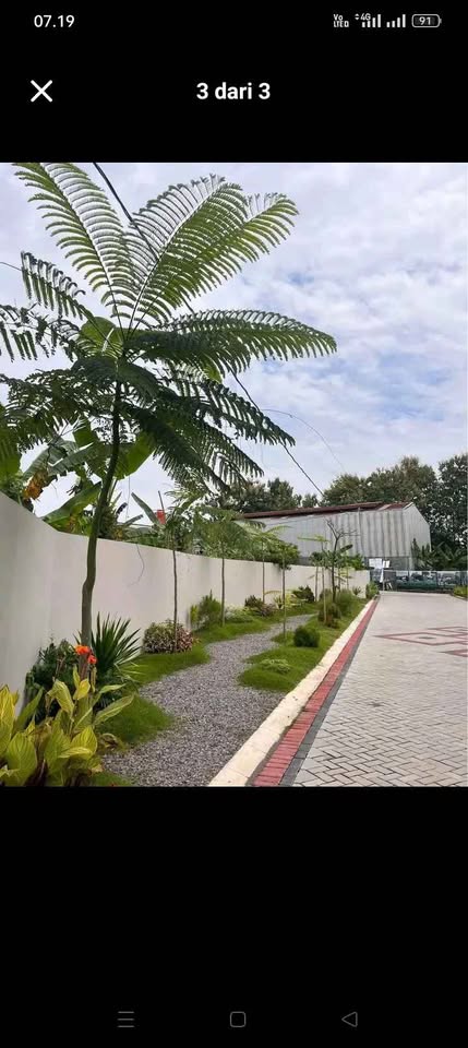 💎 CLUSTER DE GHANIA VALUE (HOME & RESORT)