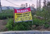 DIJUAL Tanah di Bandungan untuk bunga