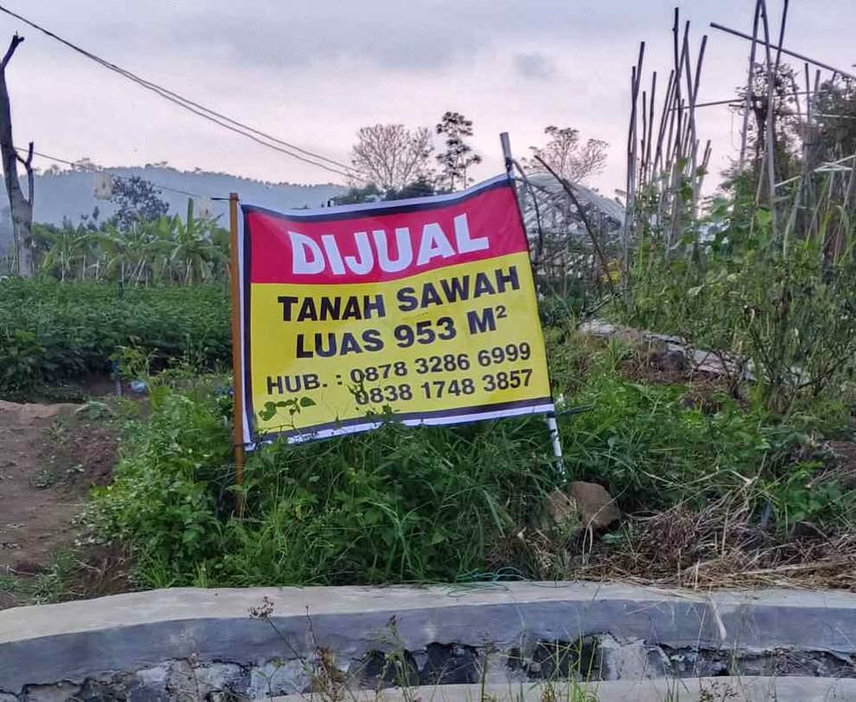 DIJUAL Tanah di Bandungan untuk bunga