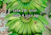 Pisang kepok mentah manis