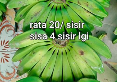 820543621-1762801254769335-5865380200204143411-n