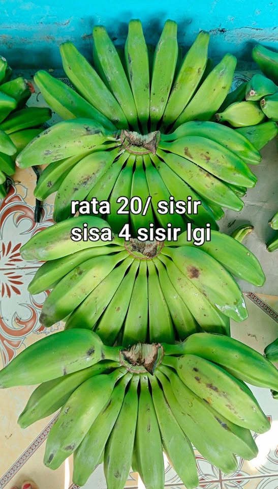 Pisang kepok mentah manis