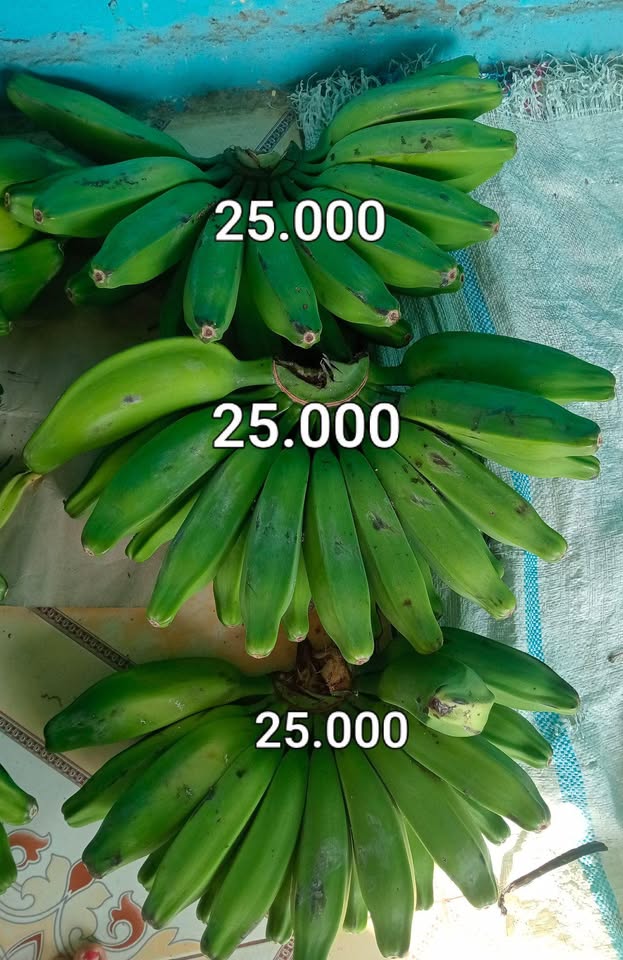 Pisang kepok mentah manis